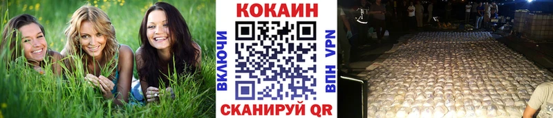 COCAIN Columbia  ссылка на мегу ссылка  Темников 