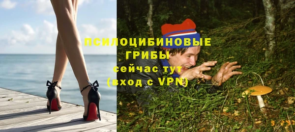 круглые Осинники