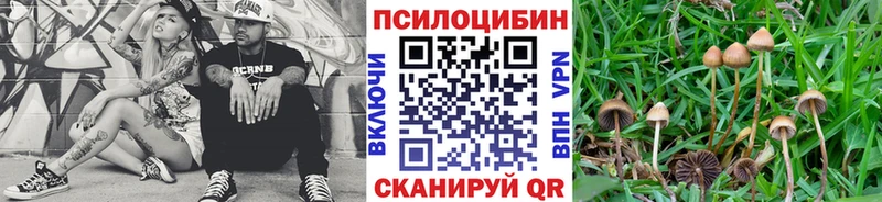 Галлюциногенные грибы ЛСД Темников